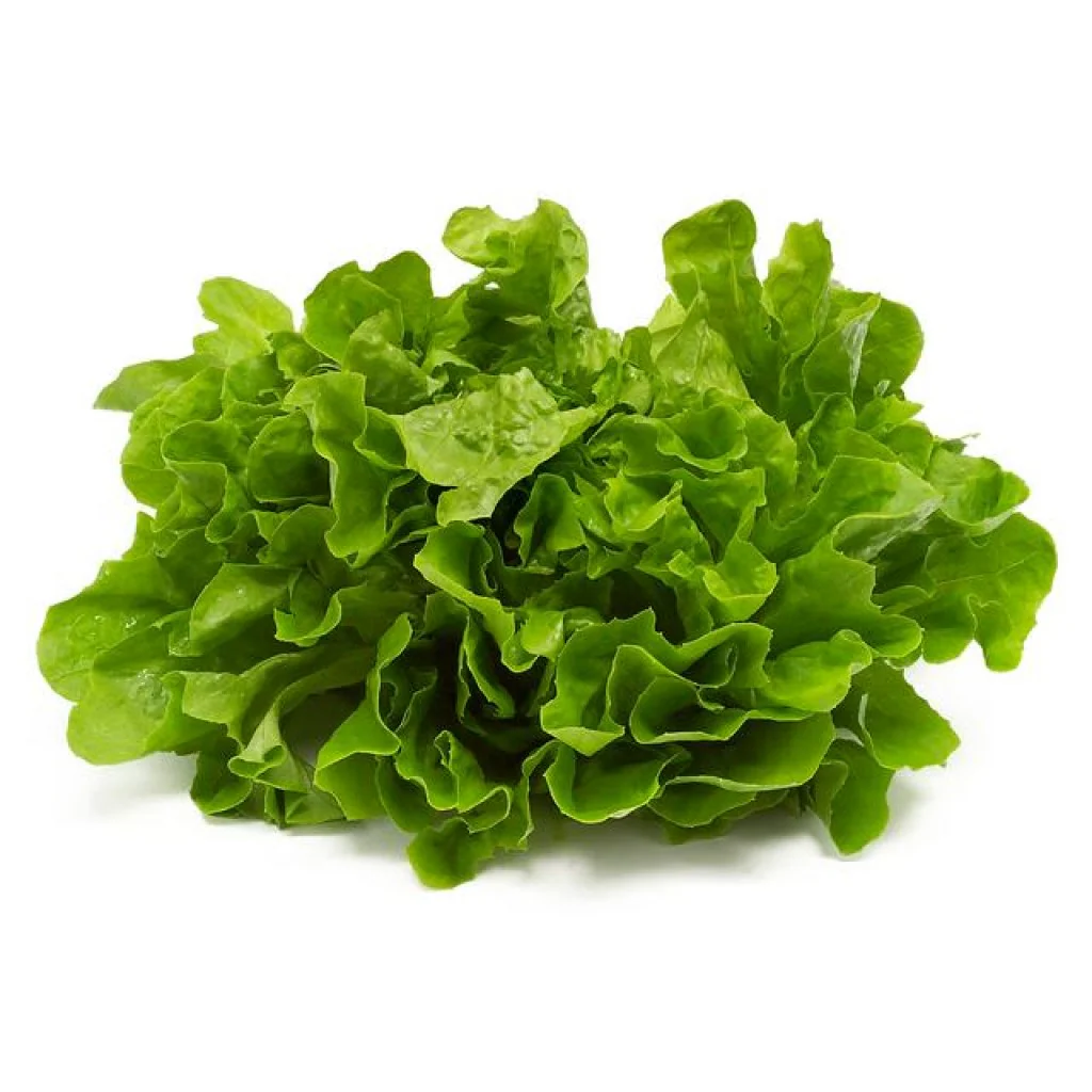 image_not_found