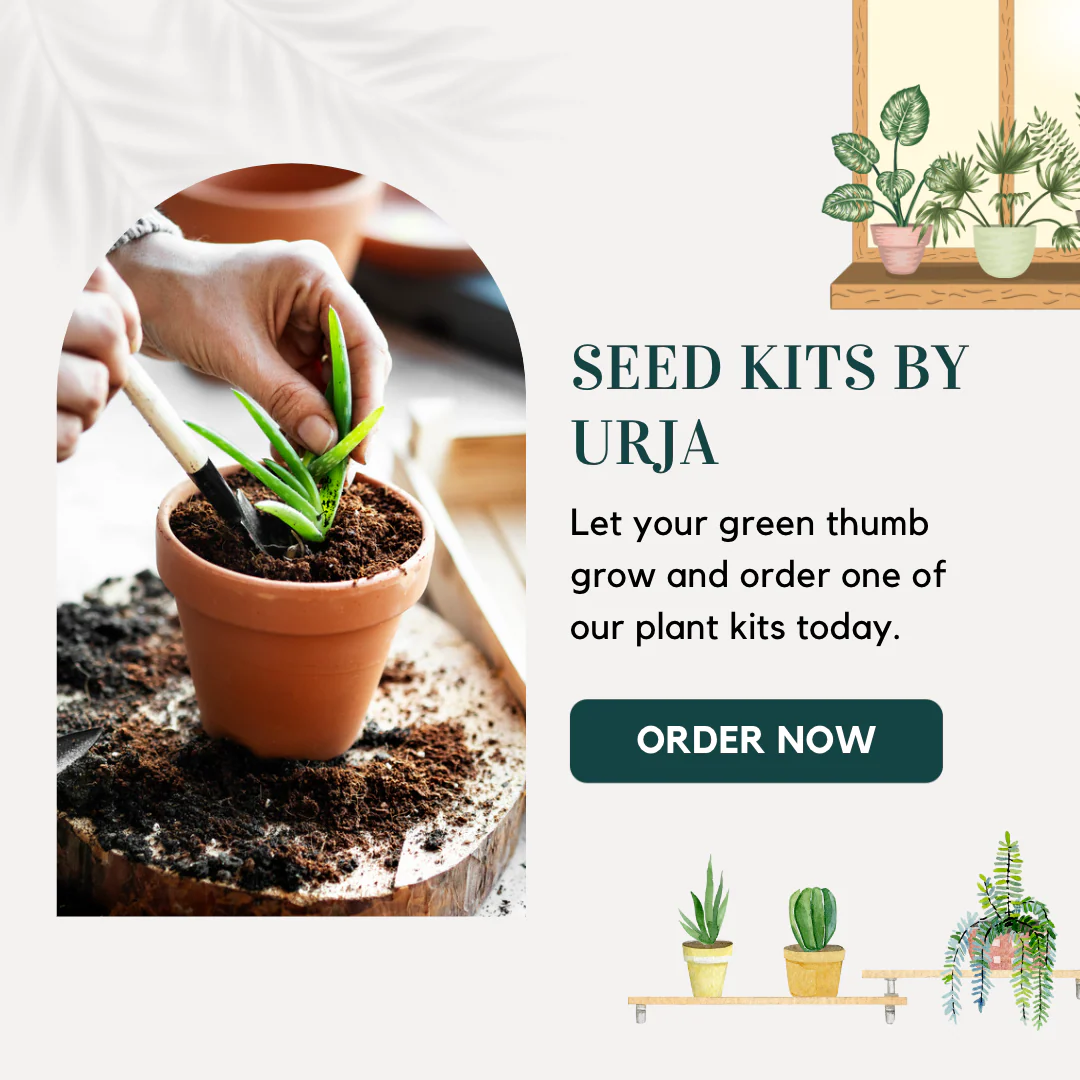 Vegetable Seed Kit MINI - Image 3