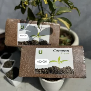Coir Brick Small 450GMS