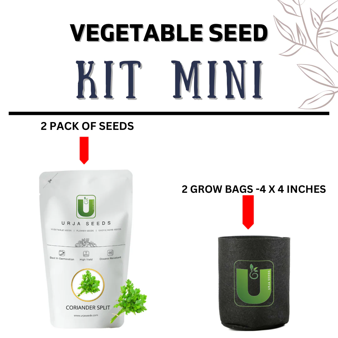 Vegetable Seed Kit MINI - Image 2