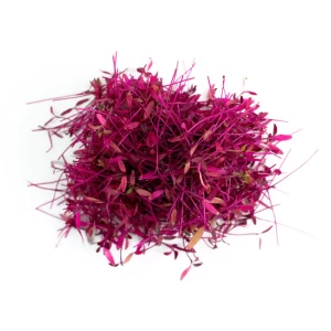 Amaranth Micro Green Seeds