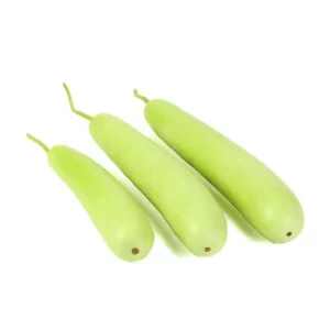 Bottle Gourd Seeds F-1 Hybrid US 345 (Gutka Type)
