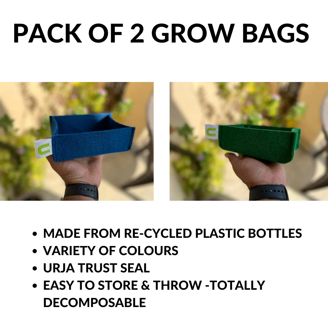 Micro Green Grow Bag - Image 2