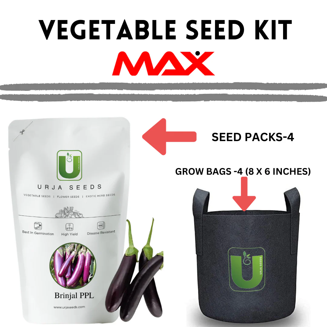 Vegetable Seed Kit MAX - Image 3