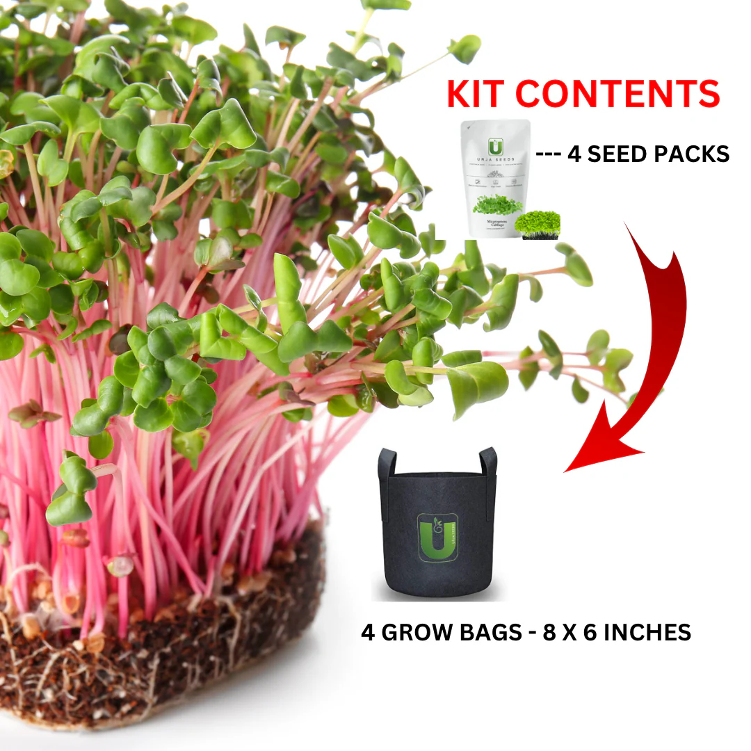 Micro Green Kit MAX - Image 2