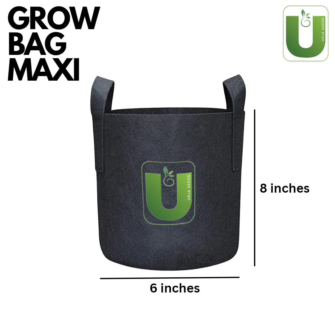 Grow Bag Maxi-(8"X 6") - Image 3