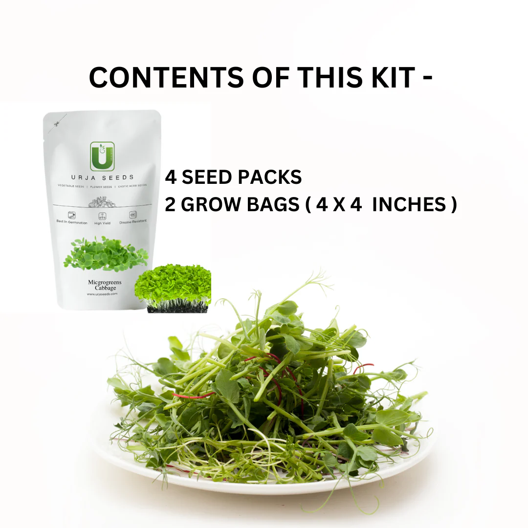 Micro Green Kit MINI - Image 2