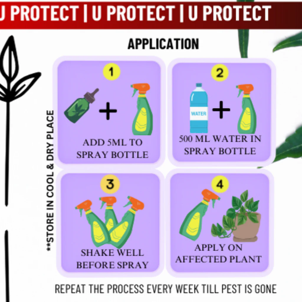 Neem Care by U Protect - Image 3