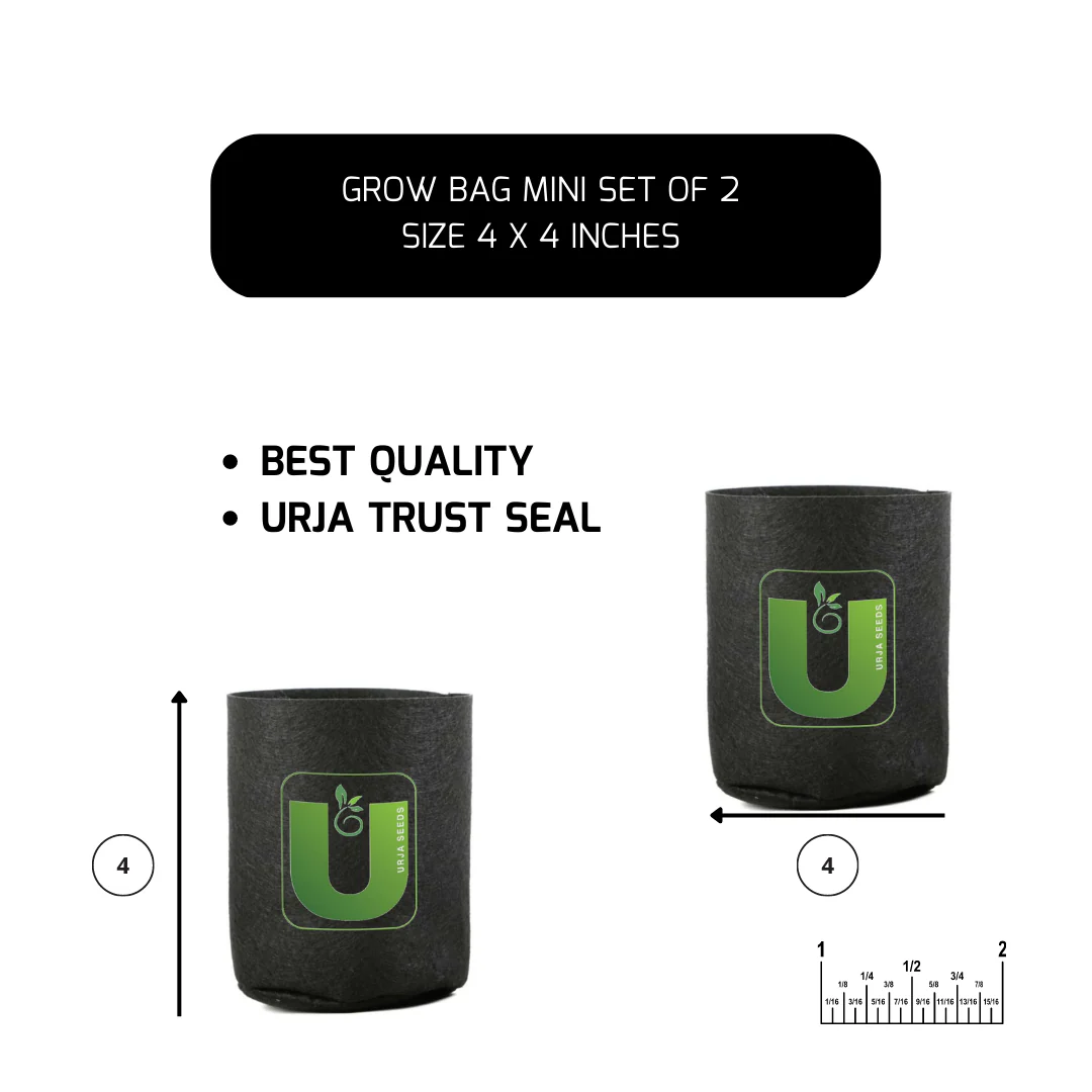 Grow Bag Mini - (4"X4") Set of 2 - Image 2
