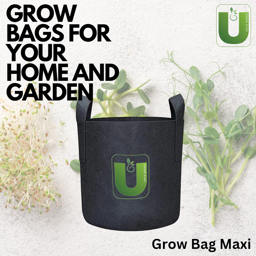 Grow Bag Maxi-(8"X 6") - Image 2