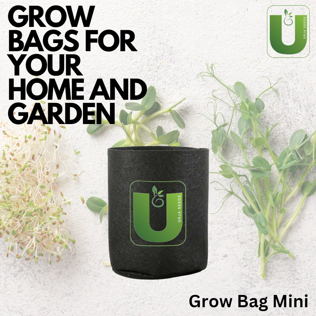 Grow Bag Mini - (4"X4") - Image 3