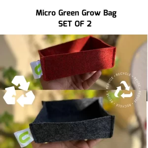 Micro Green Grow Bag Set of 2
