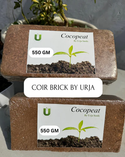 Coir Brick Large 550GMS - Image 2