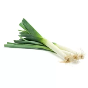 Leek Seeds American Flag