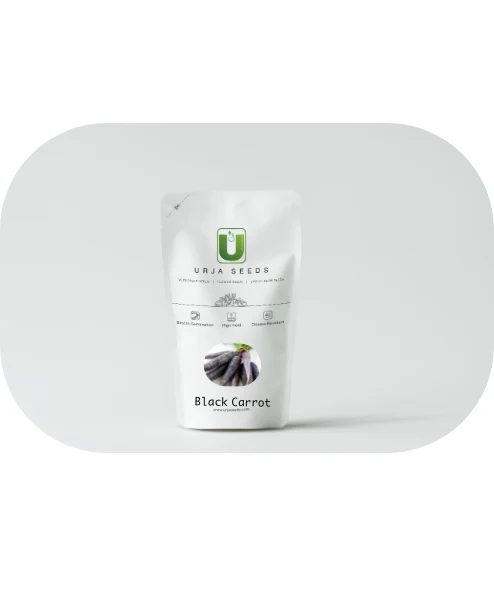 Black Carrot Seeds (Kaali Gajar) - Image 2