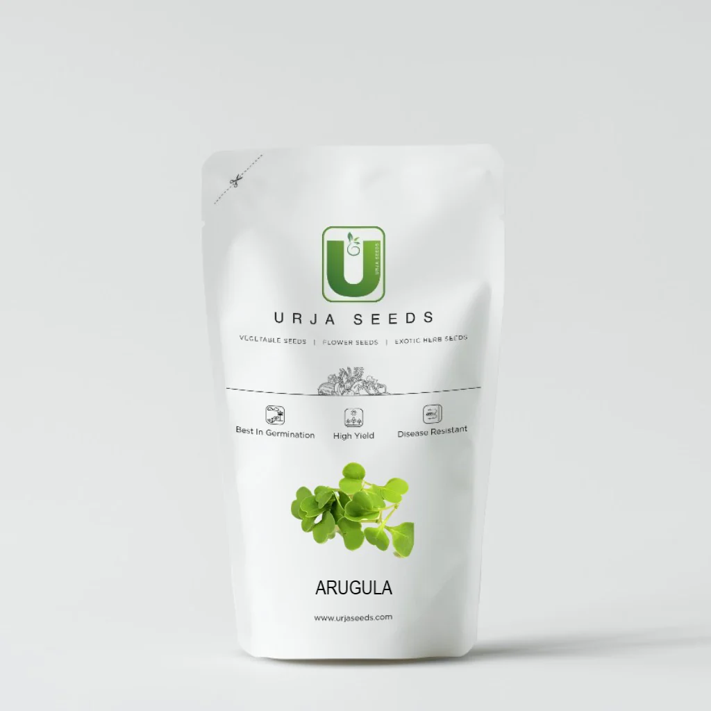 Arugula - Micro green Seeds - Image 2