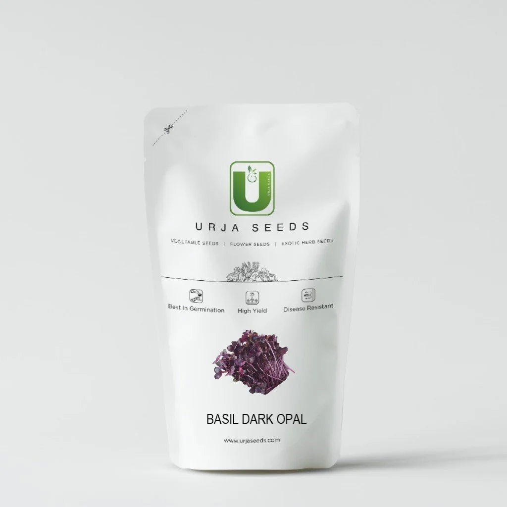 Basil Dark Opal (Purple) Seeds - Image 2