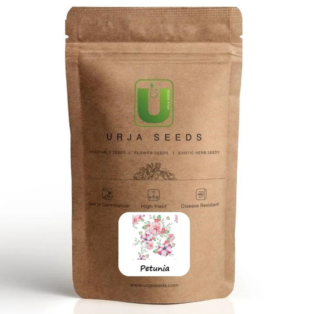 Petunia F-1 Hula Hoop (Hybrid) - Flower Seeds - Image 2