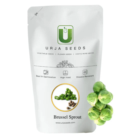 Brussel Sprout Kitchen Garden Packaging - Image 2