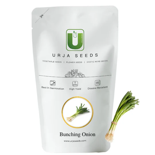 Bunching Onion Seeds - Image 2