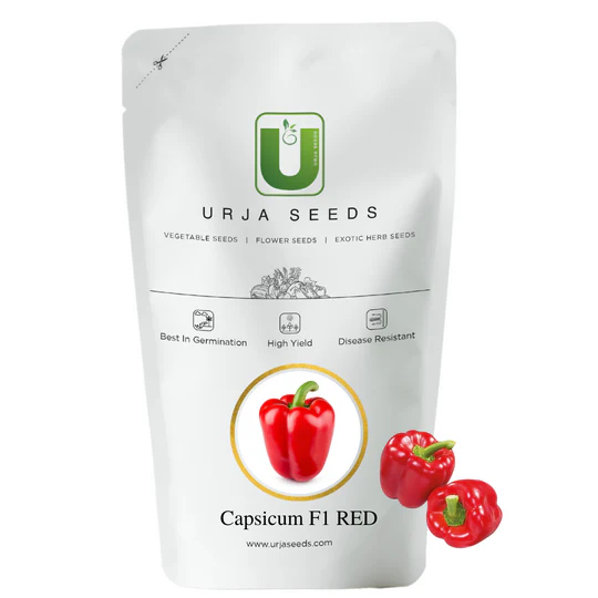 Capsicum Seeds F-1 Hybrid Red - Image 2