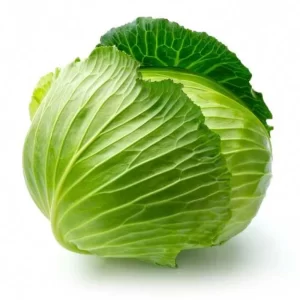 Cabbage Seeds F-1 Hybrid Manasi