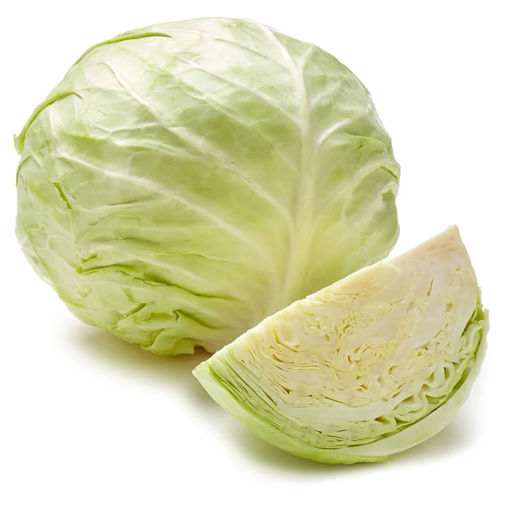 Cabbage Seeds F-1 Hybrid US-192