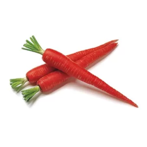 Carrot Seeds Lalima