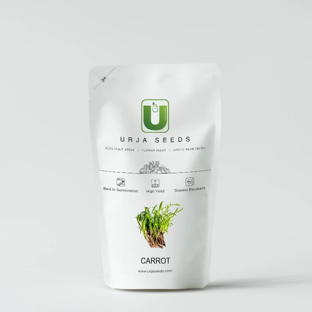 Carrot - Micro green Seeds - Image 2