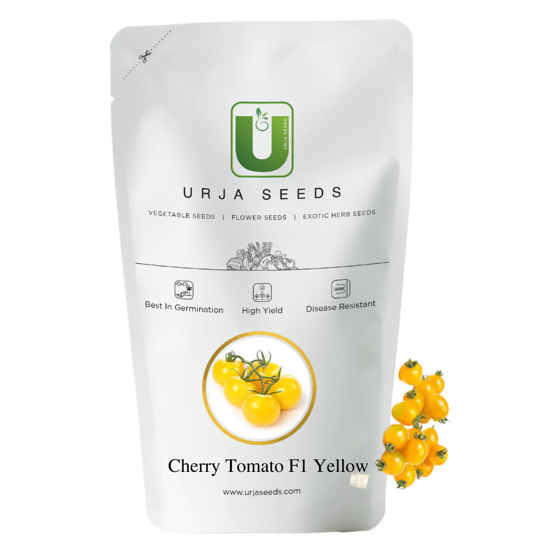 Cherry Tomato F1 Yellow Kitchen Garden Packaging - Image 2
