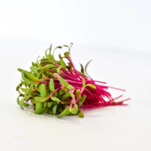 Beetroot - Micro Green Seeds