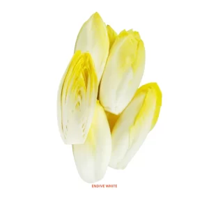 Endive White