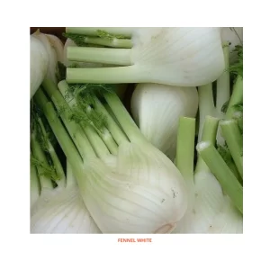 Fennel White -Kitchen Garden Packing