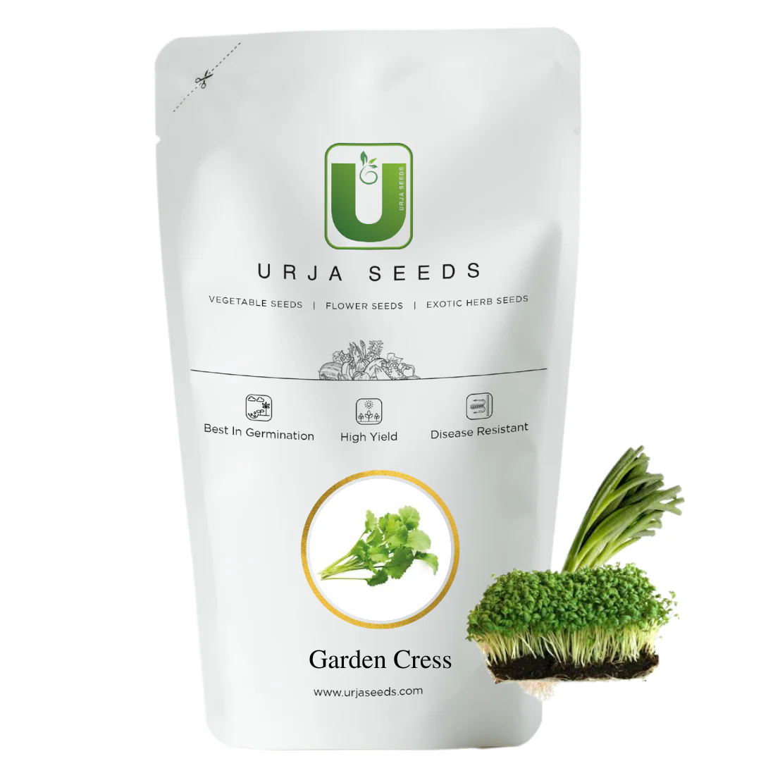 Cress-Micro Green Seeds - Image 2