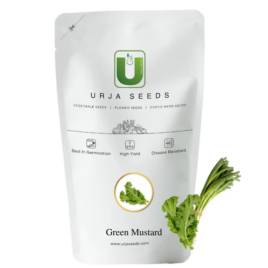 Green Mustard Seeds - Image 2