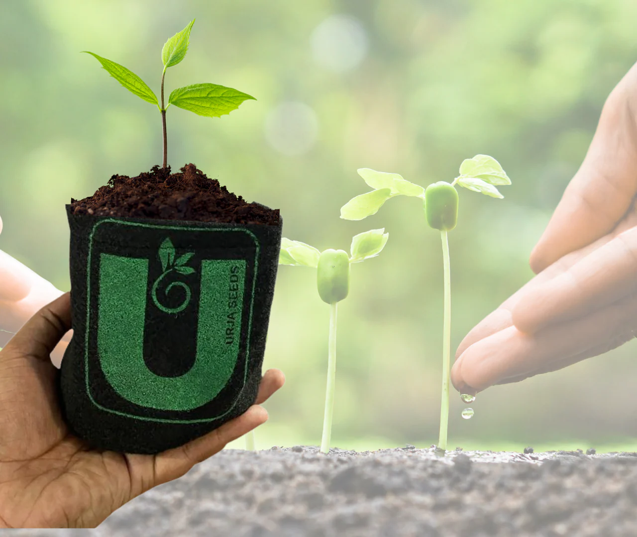 Grow Bag Mini - (4"X4") Set of 2 - Image 3