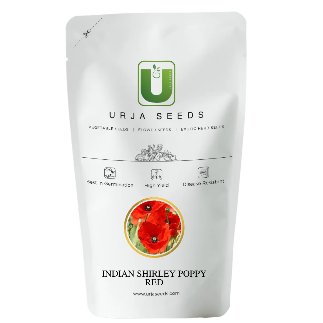 Poppy Red Indian - Flower Seeds - Image 2