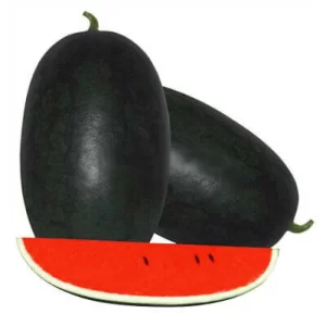 Watermelon Seeds F-1 Hybrid US-20011 Icebox