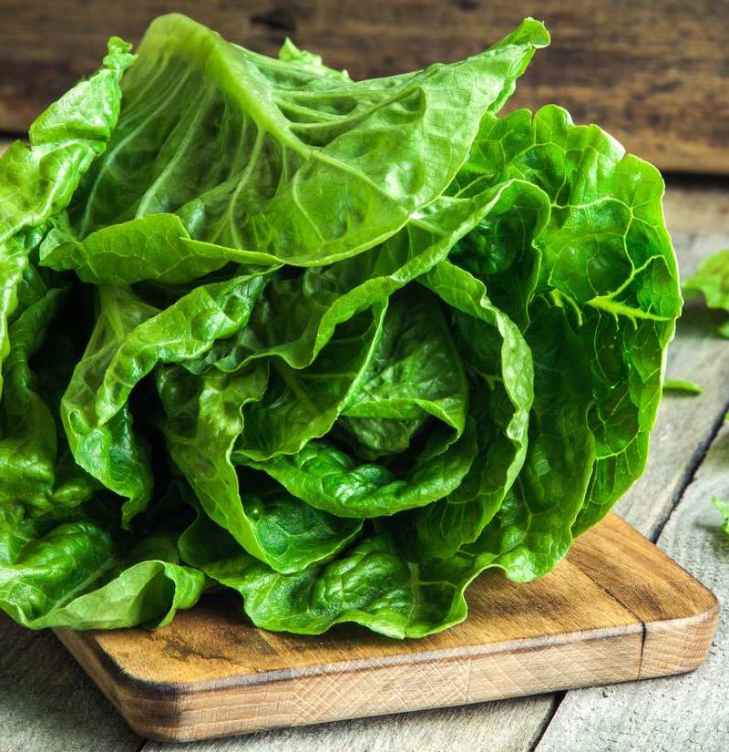 Lettuce Seeds Romaine - Image 3