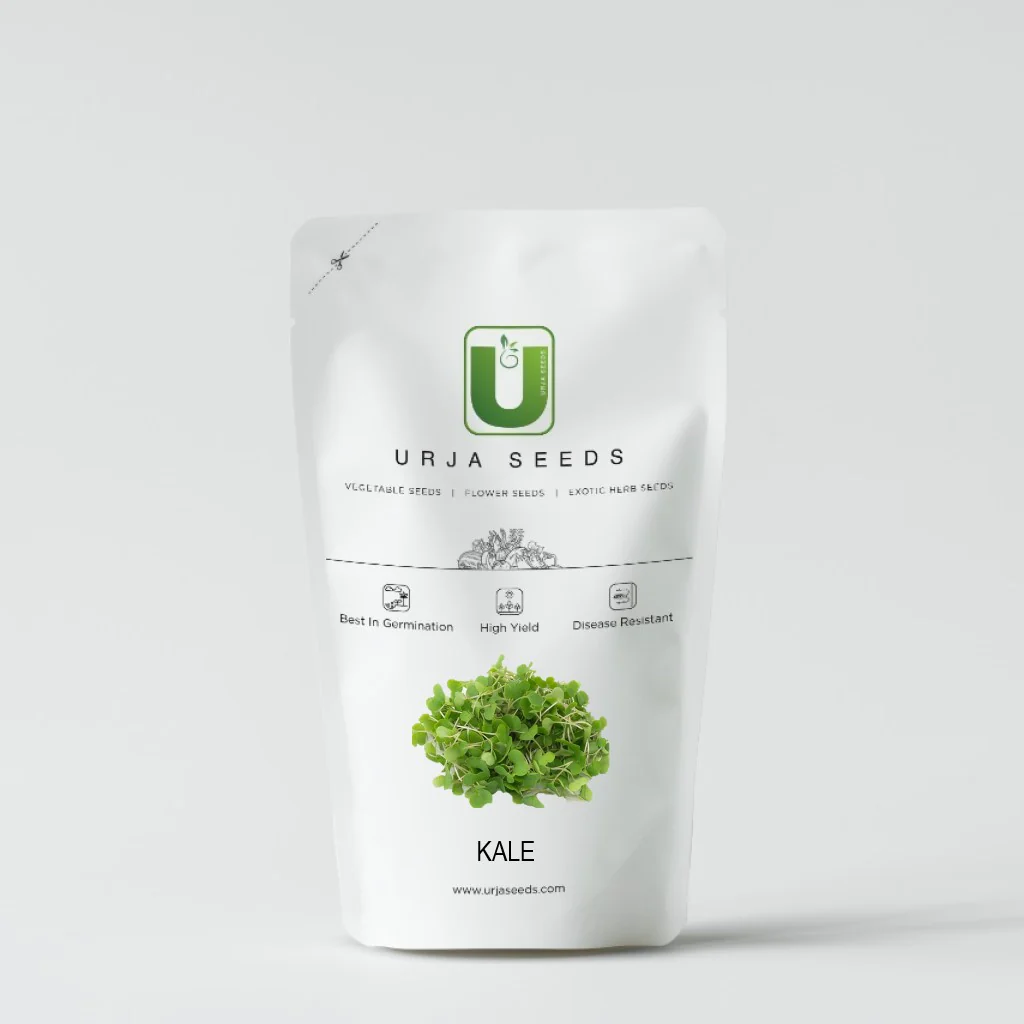Kale -Micro green Seeds - Image 2