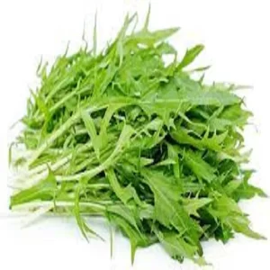 Mizuna Green Seeds
