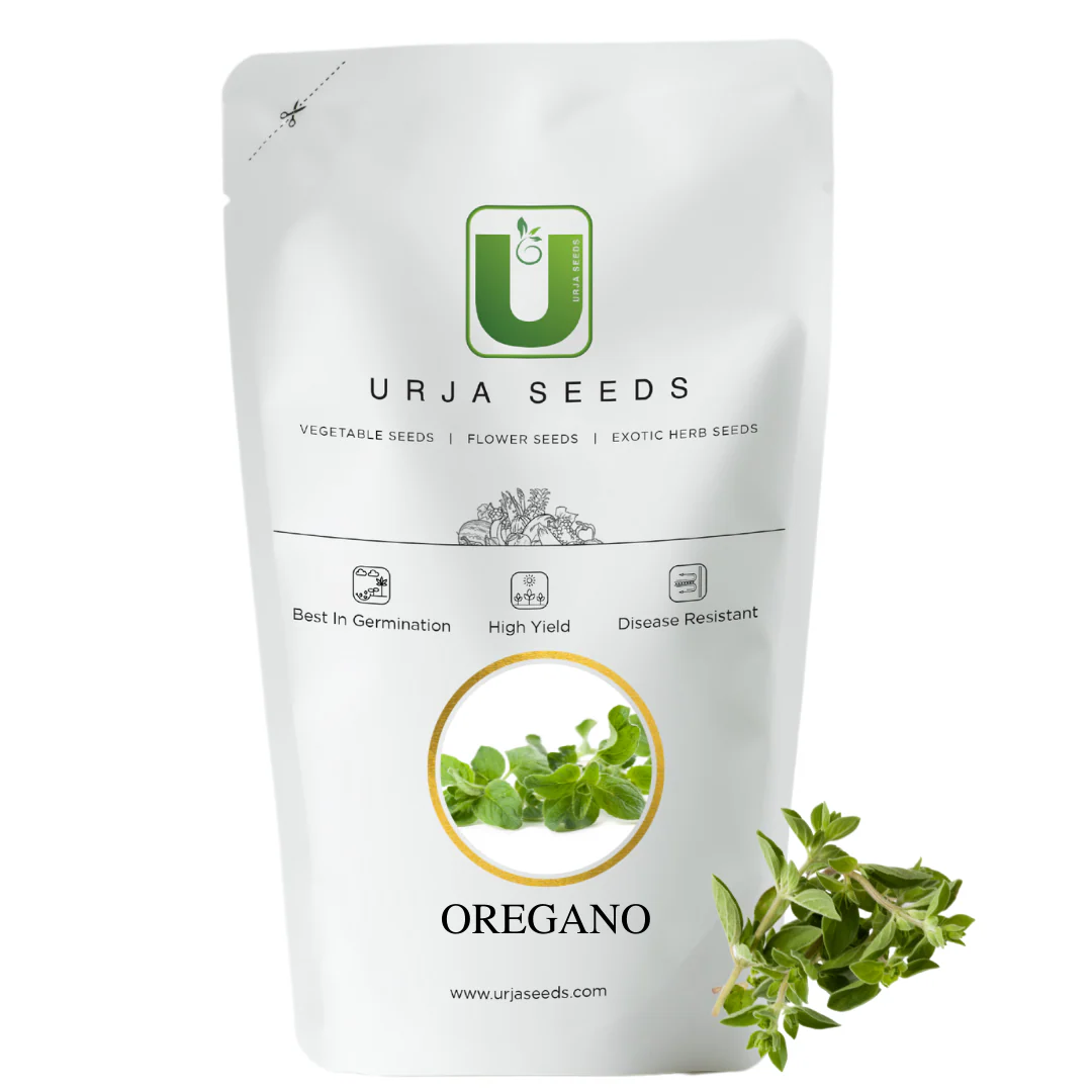 Oregano Seeds Kitchen Garden Packaging - Image 5