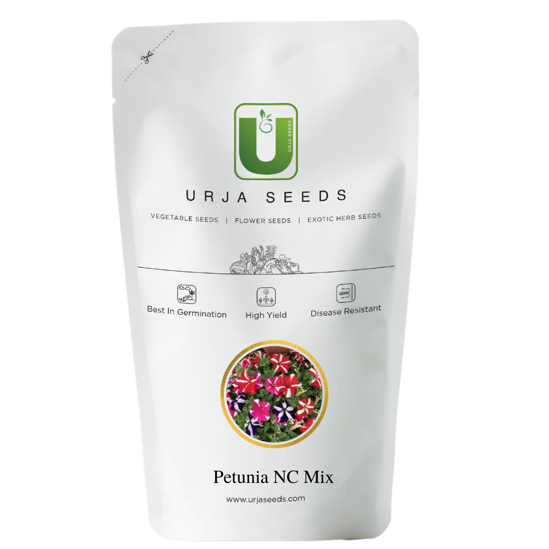Petunia NC Mix - Flower Seeds - Image 2