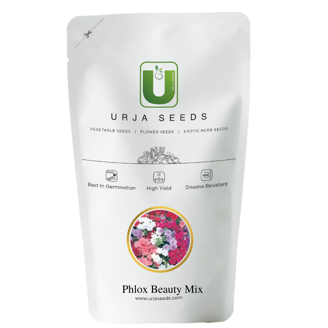 Phlox Beauty Mix-Flower Seeds - Image 2