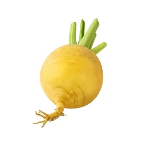 Turnip Seeds Golden Ball