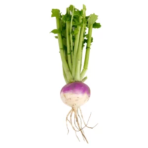 Turnip Seeds Purple Top White