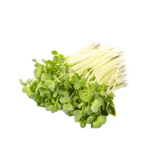 Radish - Micro green Seeds
