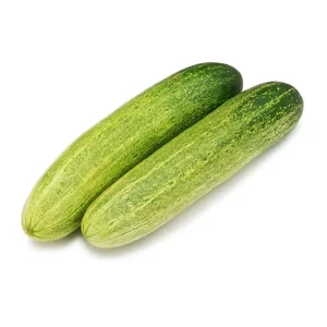Cucumber Seeds F-1 Hybrid US-9090 (Light Green)