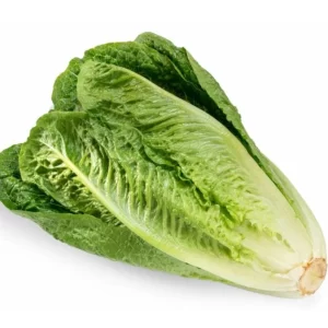 Lettuce Seeds Romaine