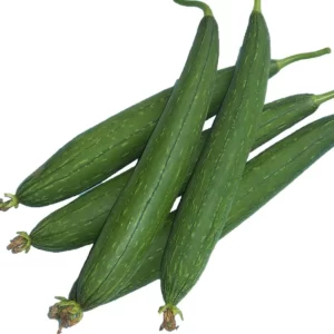 Sponge Gourd Seeds Dark Green